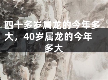 四十多岁属龙的今年多大，40岁属龙的今年多大