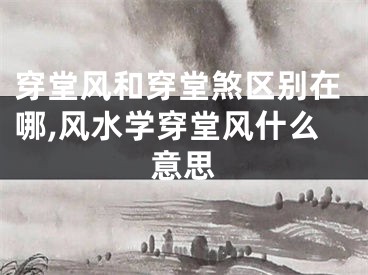 穿堂风和穿堂煞区别在哪,风水学穿堂风什么意思