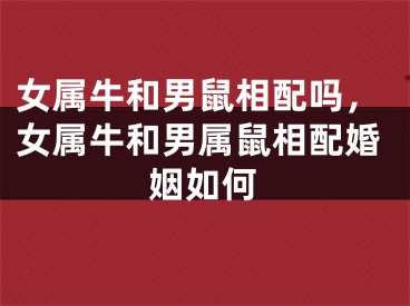 女属牛和男鼠相配吗，女属牛和男属鼠相配婚姻如何