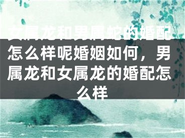 女属龙和男属蛇的婚配怎么样呢婚姻如何，男属龙和女属龙的婚配怎么样