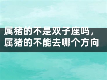 属猪的不是双子座吗，属猪的不能去哪个方向
