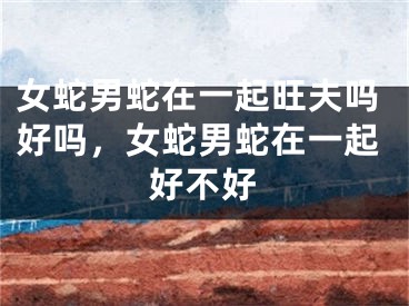 女蛇男蛇在一起旺夫吗好吗，女蛇男蛇在一起好不好