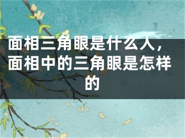 面相三角眼是什么人，面相中的三角眼是怎样的