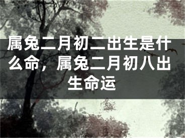 属兔二月初二出生是什么命，属兔二月初八出生命运
