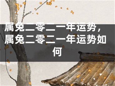 属兔二零二一年运势，属兔二零二一年运势如何