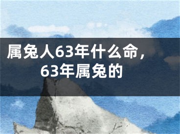 属兔人63年什么命，63年属兔的