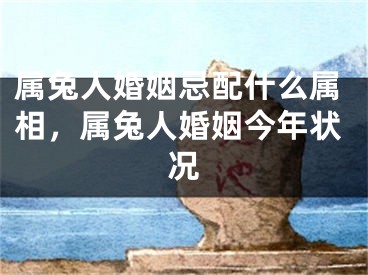 属兔人婚姻忌配什么属相，属兔人婚姻今年状况