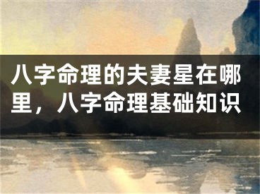 八字命理的夫妻星在哪里，八字命理基础知识