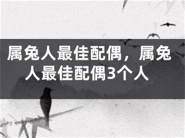 属兔人最佳配偶，属兔人最佳配偶3个人