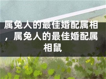 属兔人的最佳婚配属相，属兔人的最佳婚配属相鼠