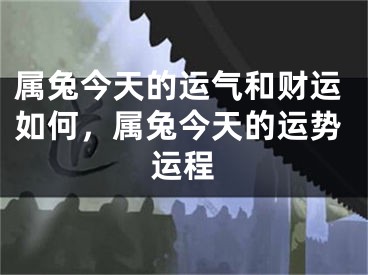 属兔今天的运气和财运如何，属兔今天的运势运程