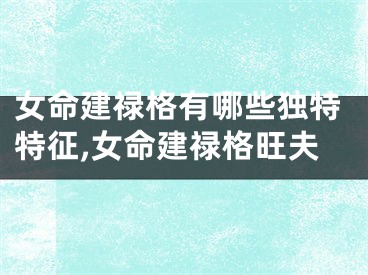 女命建禄格有哪些独特特征,女命建禄格旺夫