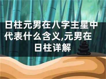 日柱元男在八字主星中代表什么含义,元男在日柱详解
