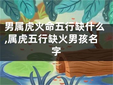 男属虎火命五行缺什么,属虎五行缺火男孩名字