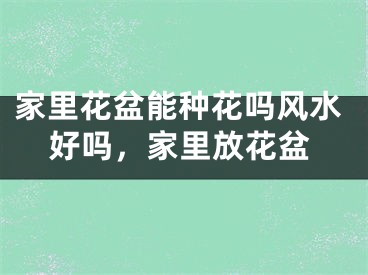 家里花盆能种花吗风水好吗，家里放花盆