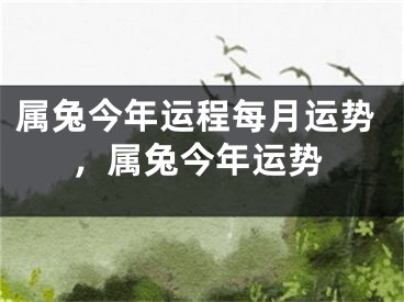 属兔今年运程每月运势，属兔今年运势