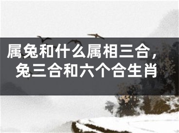 属兔和什么属相三合，兔三合和六个合生肖