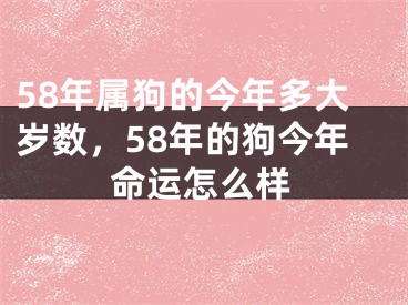58年属狗的今年多大岁数，58年的狗今年命运怎么样