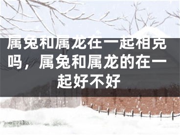 属兔和属龙在一起相克吗，属兔和属龙的在一起好不好