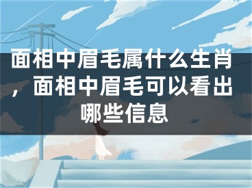 面相中眉毛属什么生肖，面相中眉毛可以看出哪些信息