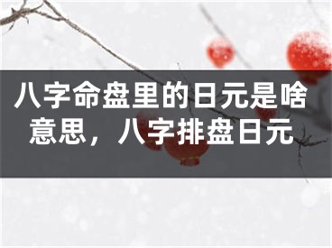 八字命盘里的日元是啥意思，八字排盘日元