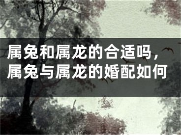 属兔和属龙的合适吗，属兔与属龙的婚配如何