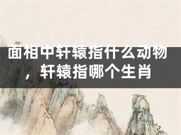 面相中轩辕指什么动物，轩辕指哪个生肖