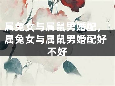 属兔女与属鼠男婚配，属兔女与属鼠男婚配好不好
