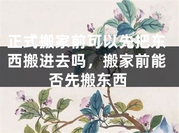 正式搬家前可以先把东西搬进去吗，搬家前能否先搬东西