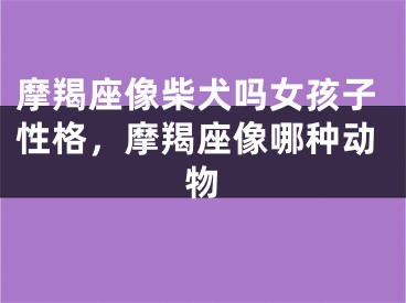 摩羯座像柴犬吗女孩子性格，摩羯座像哪种动物