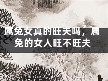 属兔女真的旺夫吗，属兔的女人旺不旺夫