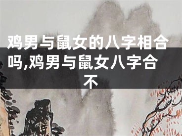 鸡男与鼠女的八字相合吗,鸡男与鼠女八字合不