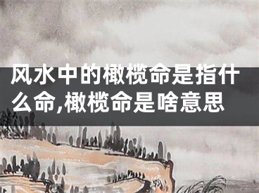 风水中的橄榄命是指什么命,橄榄命是啥意思