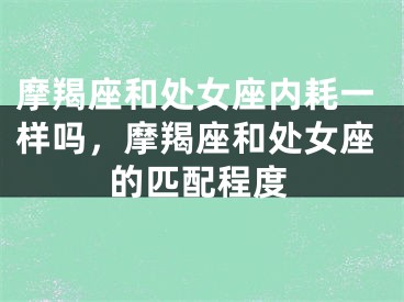 摩羯座和处女座内耗一样吗，摩羯座和处女座的匹配程度