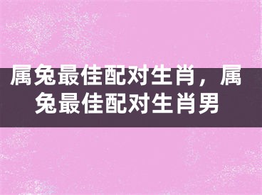 属兔最佳配对生肖，属兔最佳配对生肖男