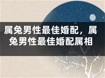 属兔男性最佳婚配，属兔男性最佳婚配属相