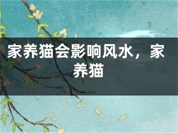 家养猫会影响风水,家养猫