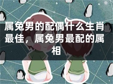 属兔男的配偶什么生肖最佳，属兔男最配的属相