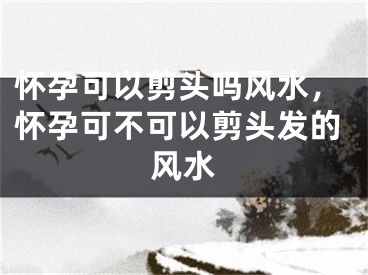 怀孕可以剪头吗风水，怀孕可不可以剪头发的风水