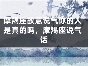 摩羯座故意说气你的人是真的吗，摩羯座说气话