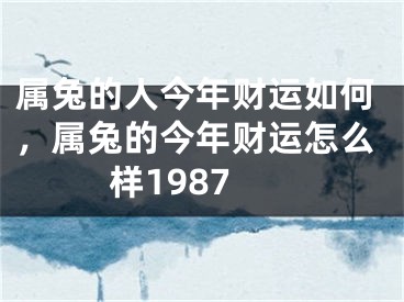 属兔的人今年财运如何，属兔的今年财运怎么样1987