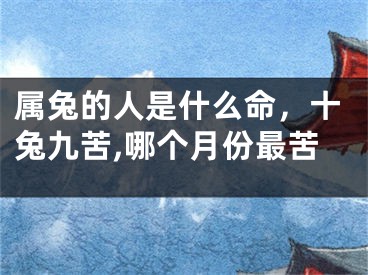 属兔的人是什么命，十兔九苦,哪个月份最苦
