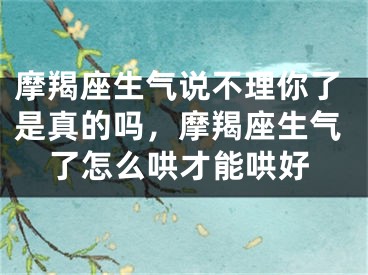 摩羯座生气说不理你了是真的吗，摩羯座生气了怎么哄才能哄好