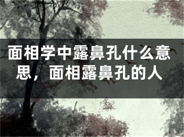 面相学中露鼻孔什么意思，面相露鼻孔的人