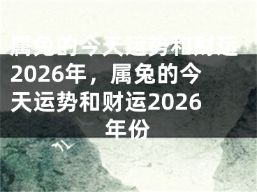 属兔的今天运势和财运2026年，属兔的今天运势和财运2026年份