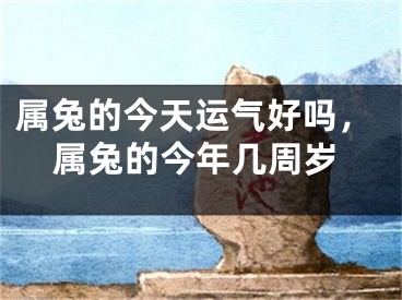 属兔的今天运气好吗，属兔的今年几周岁