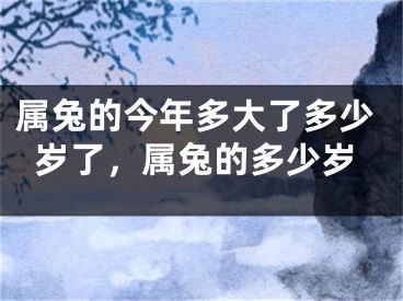 属兔的今年多大了多少岁了，属兔的多少岁