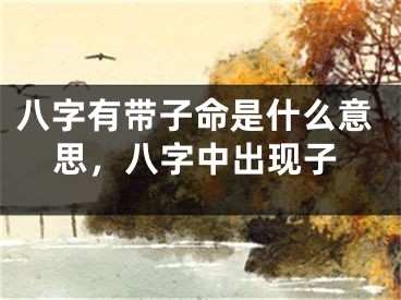 八字有带子命是什么意思，八字中出现子