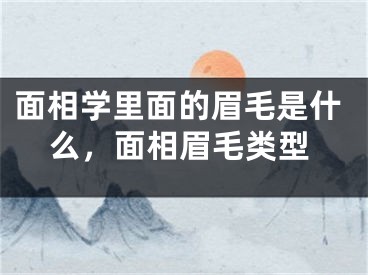 面相学里面的眉毛是什么，面相眉毛类型