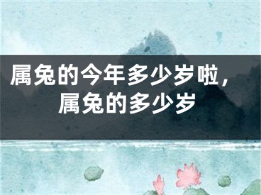 属兔的今年多少岁啦，属兔的多少岁